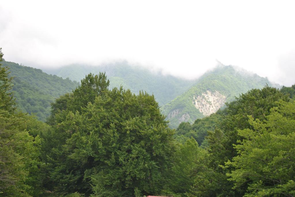 Talistan Forest Park Otel Dış mekan fotoğraf