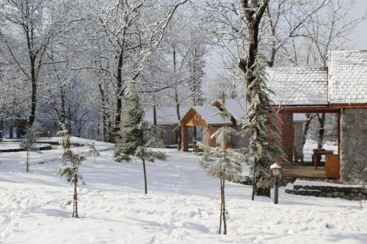 Talistan Forest Park Otel Dış mekan fotoğraf